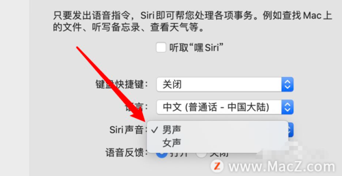 苹果电脑siri设置语言(苹果电脑的siri怎么使用技巧)-图2 苹果电脑siri设置语言(苹果电脑的siri怎么使用技巧)-图2