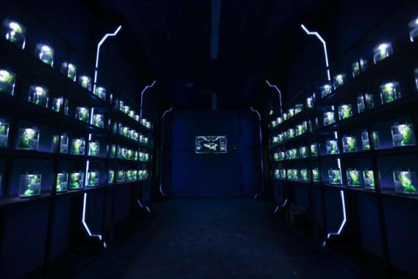适合情侣玩的密室逃脱主题?安卓科幻主题-图2 适合情侣玩的密室逃脱主题?安卓科幻主题-图2