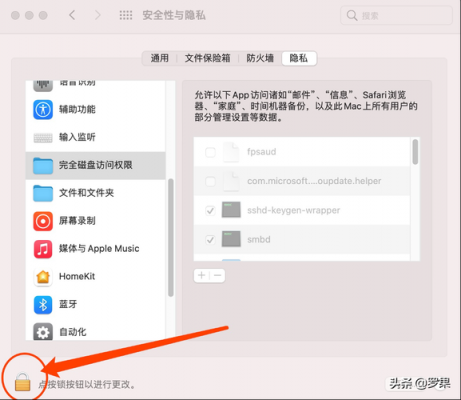 苹果电脑权限只读（mac修改只读权限）-图1