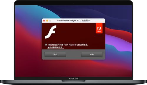 苹果电脑flash设置（苹果电脑adobe flash player设置）