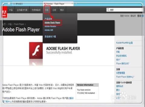 苹果电脑flash设置（苹果电脑adobe flash player设置）-图2