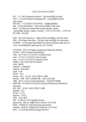 中国电脑公司（中国电脑公司的具体信息怎么写英语）