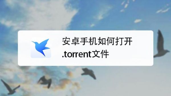 安卓手机如何打开.torrent文件？安卓手机文件搜索