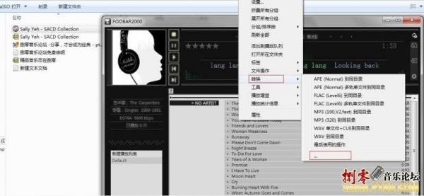 电脑播放sacd的方法(如何播放sacd iso文件)-图3 电脑播放sacd的方法(如何播放sacd iso文件)-图3