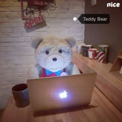 带这个熊图案贴纸的是什么美图软件?ted安卓版-图2 带这个熊图案贴纸的是什么美图软件?ted安卓版-图2
