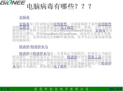 电脑病毒的创作者（电脑病毒的故事）