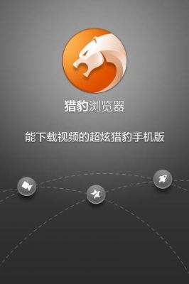 两个字的浏览器有哪些?猎豹浏览器2.3安卓-图2 两个字的浏览器有哪些?猎豹浏览器2.3安卓-图2