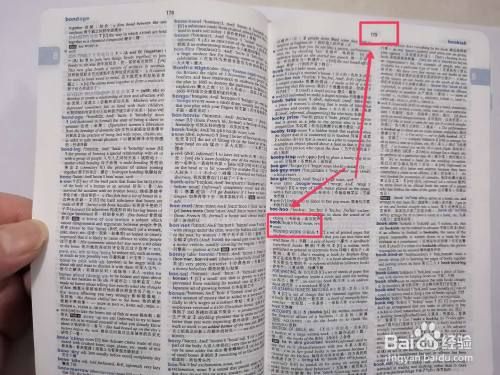 词典文献对应类型的缩写字母是?安卓英语词典代码-图3 词典文献对应类型的缩写字母是?安卓英语词典代码-图3