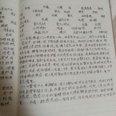20字读书笔记4篇?蜂蜜笔记安卓-图3 20字读书笔记4篇?蜂蜜笔记安卓-图3