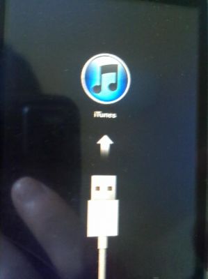 7plus连不上电脑itunes(iphone7连接itunes没反应)-图2 7plus连不上电脑itunes(iphone7连接itunes没反应)-图2