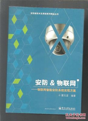 物联网安防系统（物联网安防系统论文）
