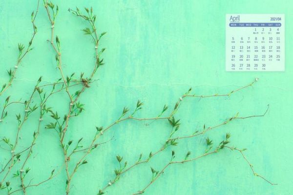 2014最新电脑桌面壁纸（电脑桌面壁纸2021年4月）