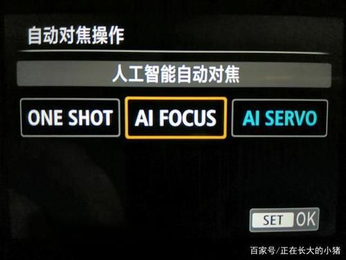 人工智能伺服模式（人工智能伺服对焦模式）