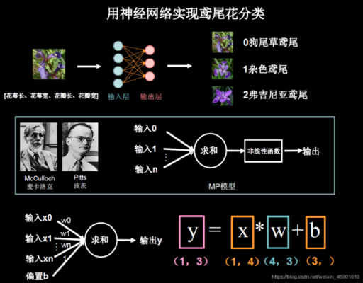 人工智能鸢尾花实验（人工智能鸢尾花实验报告总结）
