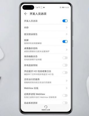 显示应用不存在，无法正常使用，怎么回事，怎么办？安卓手机上开发人员选项在哪