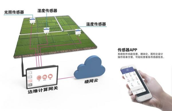 农业物联网传感节点（农业物联网的关键技术）