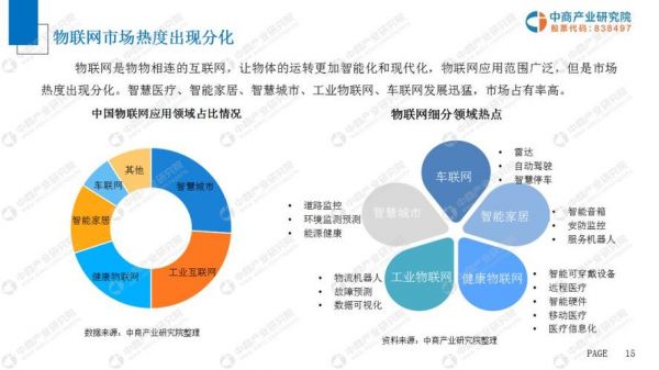 公安物联网市场（公安物联网市场调研报告）