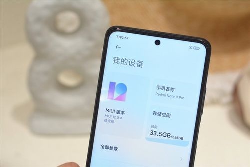 红米note9怎么查询版本?怎么看手机的安卓版本-图2 红米note9怎么查询版本?怎么看手机的安卓版本-图2