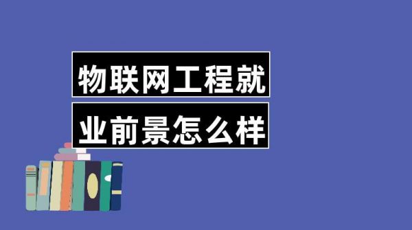 物联网消防程序员（物联网程序员就业前景）