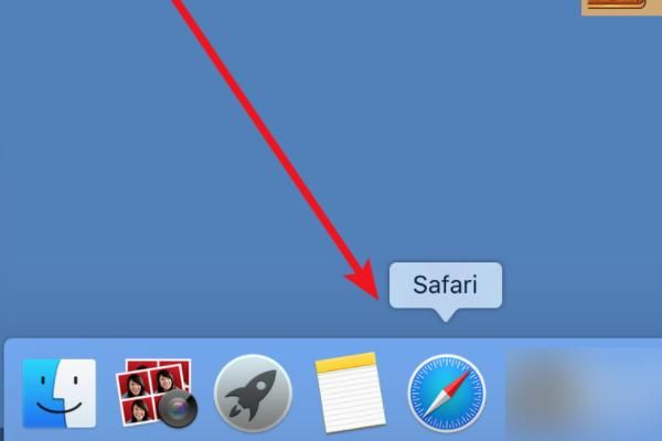 safari浏览器下载的东西怎么找？safari手机浏览器安卓-图2