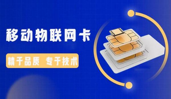 物联网vip怎么用（物联网卡服务续费怎么续费啊）