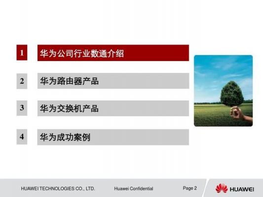 华为数据通信基础ppt（华为数据通信产品）-图3
