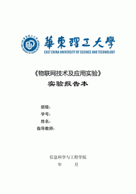 物联网实验报告走马灯（物联网实验报告总结与分析）