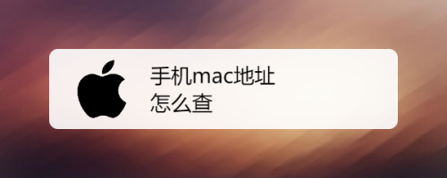 怎么查看安卓手机mac地址查询简单教程？安卓手机mac地址怎么看