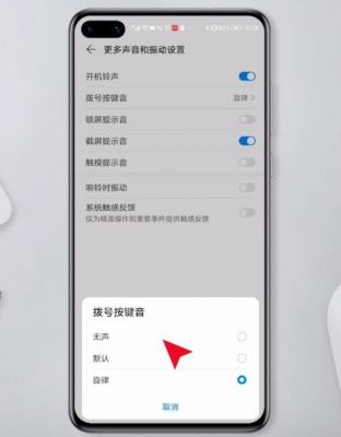 一加怎么设置虚拟按键音?安卓手机如何更改触控声音-图2 一加怎么设置虚拟按键音?安卓手机如何更改触控声音-图2