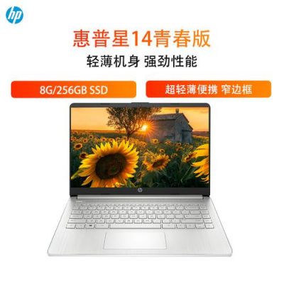 电脑只有256gssd够用吗(电脑256g够不够用)-图3 电脑只有256gssd够用吗(电脑256g够不够用)-图3