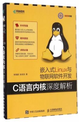 c语言能做物联网吗（物联网学c语言还是java）