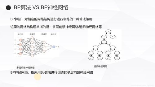 bp神经网络属于人工智能么（bp神经网络在哪些领域应用）