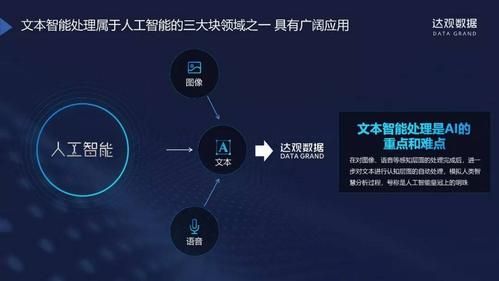 人工智能文本处理(人工智能文本挖掘技术)-图1 人工智能文本处理(人工智能文本挖掘技术)-图1