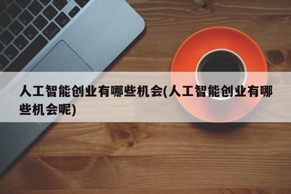 人工智能开发者创业（人工智能的创业项目）