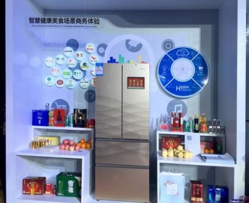 冰箱物联网图片（冰箱联网有什么功能）
