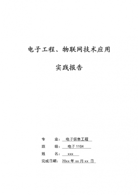 物联网工程开发与实践.pdf（物联网工程专业实践报告）