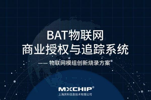 物联网授权系统（物联网授权系统的特点）