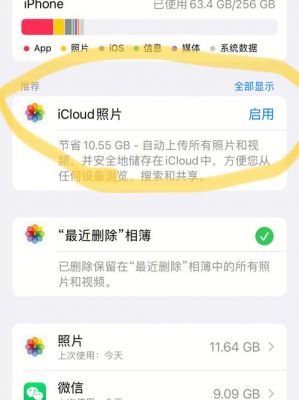 iCloud云端历史照片下载不了（icloud云盘照片在相册下载不了怎么办）