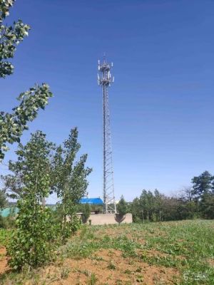 通信基站公司（通信基站工作好做吗）