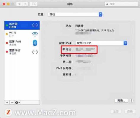 电脑怎么看ip地址（苹果电脑怎么看ip地址）