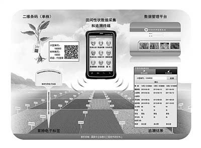 种子物联网平台（种子管理平台）