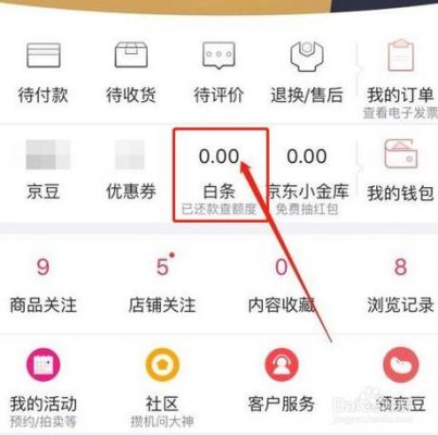 京东白条在云端(京东白条在云端怎么还款)-图2 京东白条在云端(京东白条在云端怎么还款)-图2
