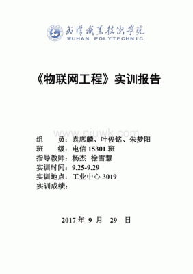 物联网485实训报告（物联网工程技术实训报告）