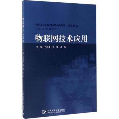 物联网发文章难么（物联网技术期刊好投吗）