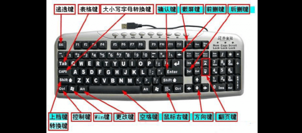 什么电脑键盘能翻转(键盘上哪个键可以翻页)-图1 什么电脑键盘能翻转(键盘上哪个键可以翻页)-图1