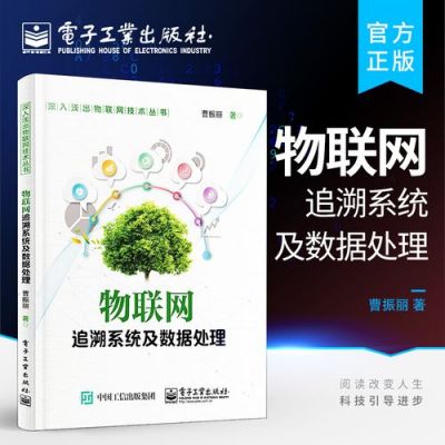 物联网数据处理考试（物联网数据处理课程）