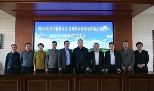 内蒙古牛物联网（内蒙古物联科技有限公司怎么样）