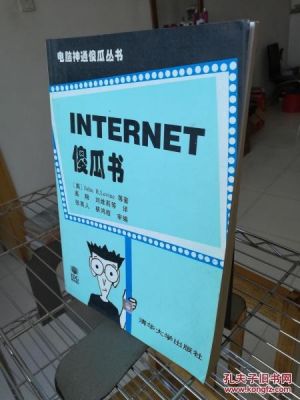 通信傻瓜书（通信 小说）