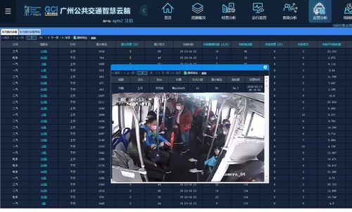 车载云端监控图片（车载云端监控图片怎么看）-图1