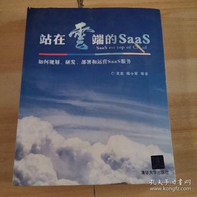 站在云端的SaaS(站在云端的人)-图2 站在云端的SaaS(站在云端的人)-图2